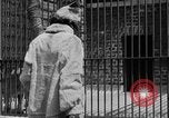 Image of fur fashions New York City USA, 1935, second 26 stock footage video 65675051172