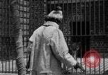 Image of fur fashions New York City USA, 1935, second 28 stock footage video 65675051172