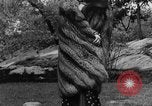 Image of fur fashions New York City USA, 1935, second 34 stock footage video 65675051172