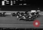 Image of filly Countess Adios Westbury New York USA, 1960, second 22 stock footage video 65675051180