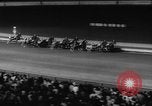 Image of filly Countess Adios Westbury New York USA, 1960, second 38 stock footage video 65675051180