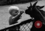 Standbild baby Tiere Deutschland, 1960, aus Sekunde 12 historischem Filmmaterial Videoclip 65675051183