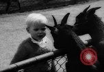 Standbild baby Tiere Deutschland, 1960, aus Sekunde 13 historischem Filmmaterial Videoclip 65675051183