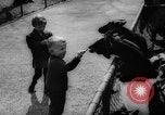 Standbild baby Tiere Deutschland, 1960, aus Sekunde 14 historischem Filmmaterial Videoclip 65675051183