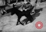 Standbild baby Tiere Deutschland, 1960, aus Sekunde 16 historischem Filmmaterial Videoclip 65675051183