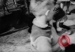 Standbild baby Tiere Deutschland, 1960, aus Sekunde 17 historischem Filmmaterial Videoclip 65675051183