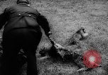 Standbild baby Tiere Deutschland, 1960, aus Sekunde 20 historischem Filmmaterial Videoclip 65675051183