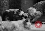Standbild baby Tiere Deutschland, 1960, aus Sekunde 31 historischem Filmmaterial Videoclip 65675051183
