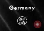 Image of baby animals Europe, 1960, second 3 stock footage video 65675051193