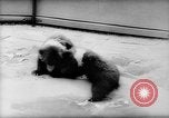 Image of baby animals Europe, 1960, second 15 stock footage video 65675051193