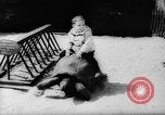 Image of baby animals Europe, 1960, second 25 stock footage video 65675051193