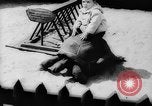 Image of baby animals Europe, 1960, second 27 stock footage video 65675051193