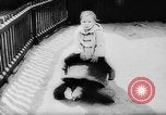 Image of baby animals Europe, 1960, second 29 stock footage video 65675051193