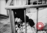 Image of baby animals Europe, 1960, second 33 stock footage video 65675051193