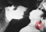 Image of baby animals Europe, 1960, second 53 stock footage video 65675051193