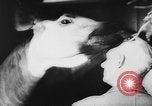 Image of baby animals Europe, 1960, second 55 stock footage video 65675051193