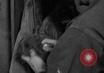 Image of airman United States USA, 1962, second 23 stock footage video 65675051198