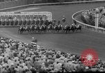 Standbild Pferd venezianischen Mai Kentucky United States USA, 1960, aus Sekunde 12 historischem Filmmaterial Videoclip 65675051214