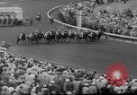 Standbild Pferd venezianischen Mai Kentucky United States USA, 1960, aus Sekunde 13 historischem Filmmaterial Videoclip 65675051214