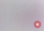 Image of Soviet Sukhoi SU-11 aircrfat Soviet Union, 1968, second 17 stock footage video 65675051235