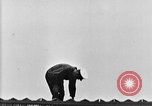 Image United States Ship Langley California United States USA, 1924, de la seconde 45 séquences d'archives historiques vidéo 65675051268