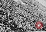 Standbild Carpenter Whitney Expedition Alaska United States USA, 1929, aus Sekunde 33 historischem Filmmaterial Videoclip 65675051270