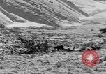 Standbild Grizzly Bear Alaska United States USA, 1929, aus Sekunde 7 historischem Filmmaterial Videoclip 65675051271
