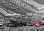 Standbild Grizzly Bear Alaska United States USA, 1929, aus Sekunde 8 historischem Filmmaterial Videoclip 65675051271