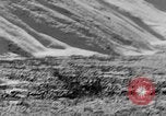 Standbild Grizzly Bear Alaska United States USA, 1929, aus Sekunde 10 historischem Filmmaterial Videoclip 65675051271