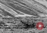 Standbild Grizzly Bear Alaska United States USA, 1929, aus Sekunde 11 historischem Filmmaterial Videoclip 65675051271