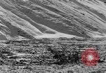 Standbild Grizzly Bear Alaska United States USA, 1929, aus Sekunde 12 historischem Filmmaterial Videoclip 65675051271