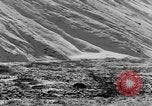 Standbild Grizzly Bear Alaska United States USA, 1929, aus Sekunde 14 historischem Filmmaterial Videoclip 65675051271