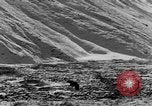 Standbild Grizzly Bear Alaska United States USA, 1929, aus Sekunde 15 historischem Filmmaterial Videoclip 65675051271