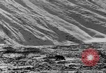 Standbild Grizzly Bear Alaska United States USA, 1929, aus Sekunde 18 historischem Filmmaterial Videoclip 65675051271