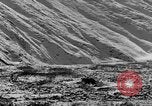 Standbild Grizzly Bear Alaska United States USA, 1929, aus Sekunde 19 historischem Filmmaterial Videoclip 65675051271