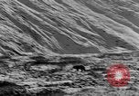 Standbild Grizzly Bear Alaska United States USA, 1929, aus Sekunde 21 historischem Filmmaterial Videoclip 65675051271