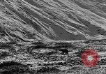 Standbild Grizzly Bear Alaska United States USA, 1929, aus Sekunde 22 historischem Filmmaterial Videoclip 65675051271