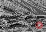 Standbild Grizzly Bear Alaska United States USA, 1929, aus Sekunde 23 historischem Filmmaterial Videoclip 65675051271