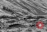 Standbild Grizzly Bear Alaska United States USA, 1929, aus Sekunde 24 historischem Filmmaterial Videoclip 65675051271