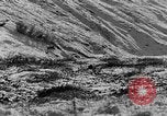 Standbild Grizzly Bear Alaska United States USA, 1929, aus Sekunde 25 historischem Filmmaterial Videoclip 65675051271