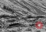 Standbild Grizzly Bear Alaska United States USA, 1929, aus Sekunde 27 historischem Filmmaterial Videoclip 65675051271