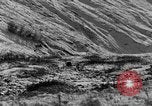 Standbild Grizzly Bear Alaska United States USA, 1929, aus Sekunde 29 historischem Filmmaterial Videoclip 65675051271