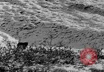 Standbild Grizzly Bear Alaska United States USA, 1929, aus Sekunde 31 historischem Filmmaterial Videoclip 65675051271