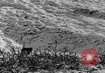 Standbild Grizzly Bear Alaska United States USA, 1929, aus Sekunde 32 historischem Filmmaterial Videoclip 65675051271