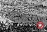 Standbild Grizzly Bear Alaska United States USA, 1929, aus Sekunde 36 historischem Filmmaterial Videoclip 65675051271