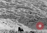 Standbild Grizzly Bear Alaska United States USA, 1929, aus Sekunde 50 historischem Filmmaterial Videoclip 65675051271