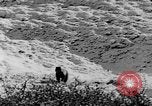 Standbild Grizzly Bear Alaska United States USA, 1929, aus Sekunde 52 historischem Filmmaterial Videoclip 65675051271