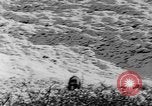Standbild Grizzly Bear Alaska United States USA, 1929, aus Sekunde 55 historischem Filmmaterial Videoclip 65675051271
