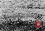 Standbild Grizzly Bear Alaska United States USA, 1929, aus Sekunde 61 historischem Filmmaterial Videoclip 65675051271