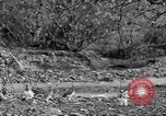 Standbild Ptarmigan Alaska USA, 1929, aus Sekunde 16 historischem Filmmaterial Videoclip 65675051272